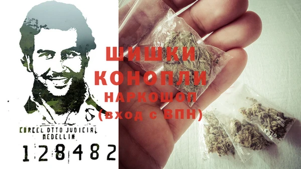 шишки Мензелинск